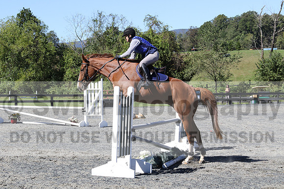 Amy Parsons on Wren Wrouge, Beginner Novice Senior HT B