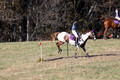 Holly Holbrook on Two Bet Chloe, Beginner Novice Horse Trials Junior A