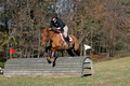 Theresa Thompson on Rated PG, Novice Horse Trials Senior