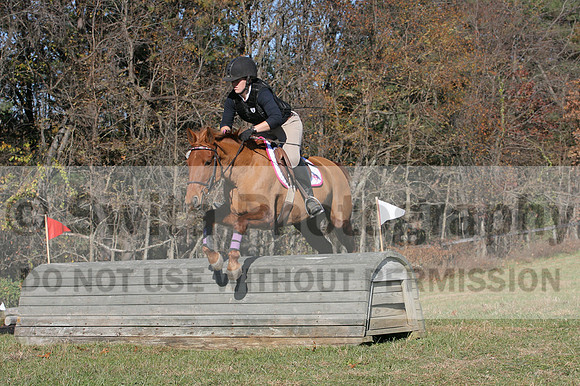 Theresa Thompson on Rated PG, Novice Horse Trials Senior