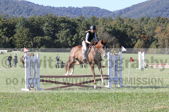 Haley Morrissey on Picturesque Serenade, Advanced Green Horse Trials A