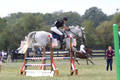 Abigail Winfree on Armani IV, JOT