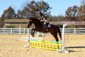 Tori Nuckols on Baron, Advanced Green Combined Test