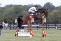 Lindsey Lanier on Fernhill Hustler, OI