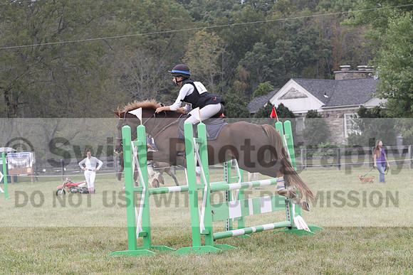 Samantha Eley on Swan's Buttercup