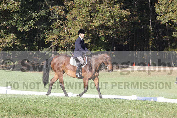 Kip Holloway on Dora Cymbeline, Novice Horse Trials Senior A