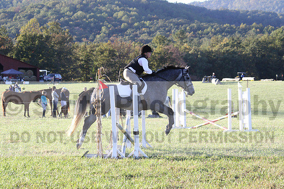 Elizabeth Brown on BallyGrace Encore, Green Horse Trials