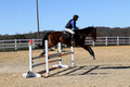 Francesca Toms on Top Secret, Novice Horse Trials Junior