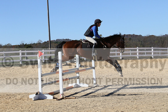 Francesca Toms on Top Secret, Novice Horse Trials Junior