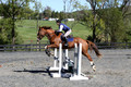 Amy Parsons on Wren Wrouge, Beginner Novice Senior HT B