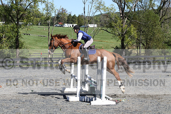 Amy Parsons on Wren Wrouge, Beginner Novice Senior HT B