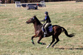 Abby McGowan on Civil Bond, Beginner Novice Horse Trials Junior B