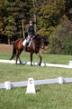 Brooke Bayley on Unbroken, Beginner Novice Horse Trials Senior A