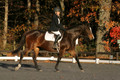 Thea Miller on Something Glamorous, Dressage Only: Training Level, Test 3