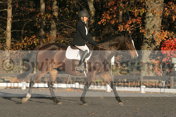 Thea Miller on Something Glamorous, Dressage Only: Training Level, Test 3