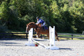 Amy Parsons on Wren Wrouge, Beginner Novice Senior HT B