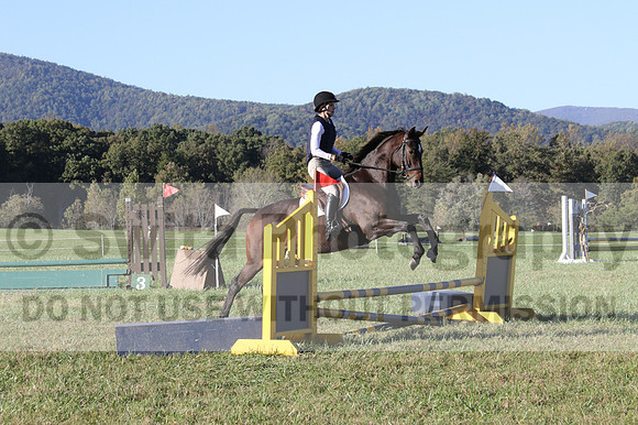 Nancy Grey on Bit Of Irish, Advanced Green Horse Trials B