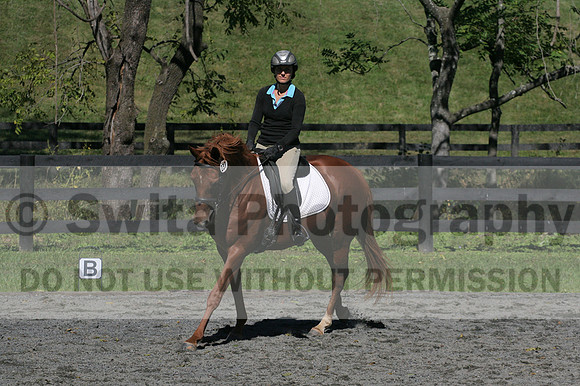 Jenny Rosner on Curious, Advanced Green HT Senior
