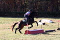 Corinne McCoy on FGF Midnight Harmony, Advanced Green Horse Trials Senior A