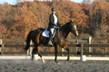 Thea Miller on Something Glamorous, Dressage Only: Training Level, Test 3