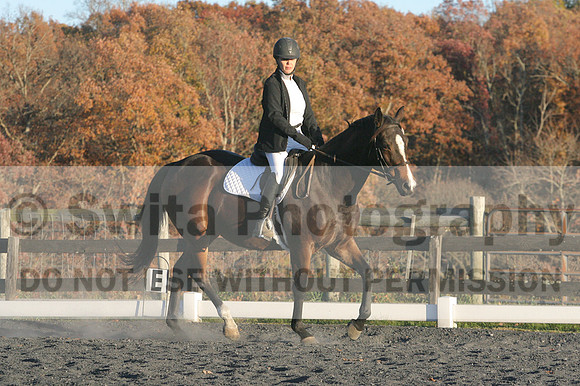 Thea Miller on Something Glamorous, Dressage Only: Training Level, Test 3