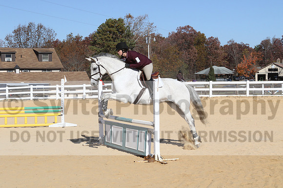 Shannon Bower on Bastille, Beginner Novice Combined Test
