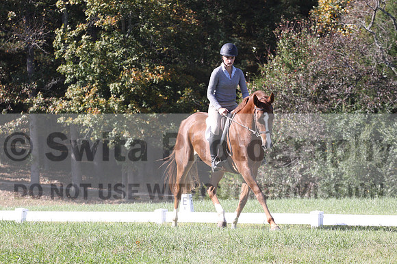 Haley Morrissey on Picturesque Serenade, Advanced Green Horse Trials A