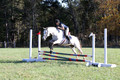 Carolyn Rutledge on Izzy, Advanced Green Horse Trials A