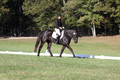 Melissa Kenny on F.O. Calculated Risk, Novice Horse Trials Senior B