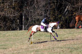 Holly Holbrook on Two Bet Chloe, Beginner Novice Horse Trials Junior A