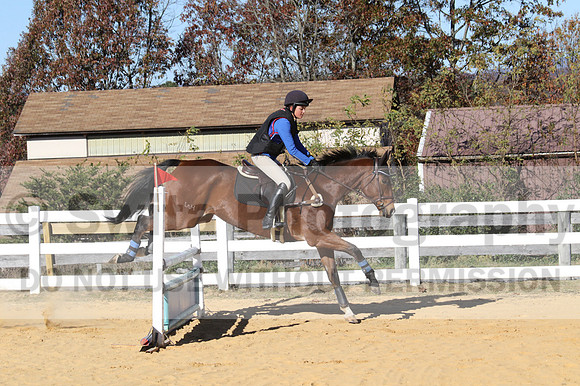 Francesca Toms on Top Secret, Novice Horse Trials Junior