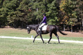 Judy Lancaster on Ride Sallie Ride, Beginner Novice Horse Trials Senior B