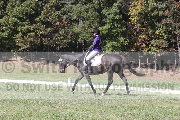 Judy Lancaster on Ride Sallie Ride, Beginner Novice Horse Trials Senior B