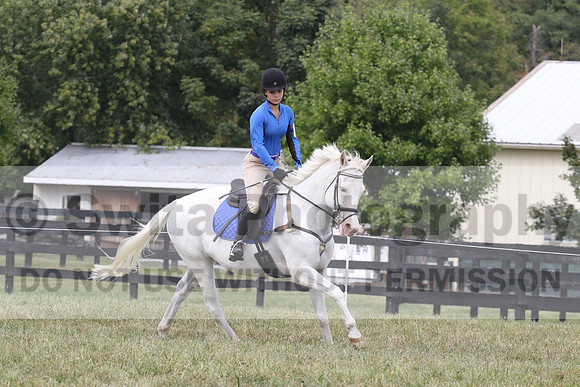 Emily Ryan on Strickly Business, JBN
