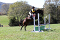 Emily Digney on American Airman, Beginner Novice Horse Trials Senior B