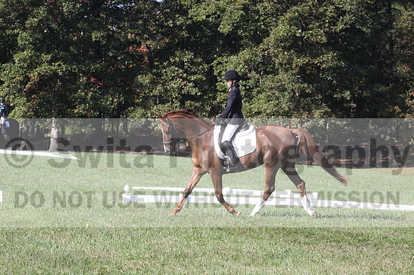 Maggie Proffitt on Wallstreet Melody, Novice Horse Trials Junior
