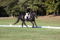 Melissa Kenny on F.O. Calculated Risk, Novice Horse Trials Senior B