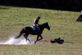 Leah Childers on Priscilla, Beginner Novice Horse Trials Junior B