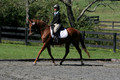 Jenny Rosner on Curious, Advanced Green HT Senior