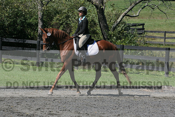 Jenny Rosner on Curious, Advanced Green HT Senior