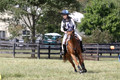 Aubrie Wyatt on Mint Julep, JBN