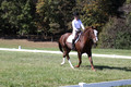Pia Zuffoletti on Rio, Beginner Novice Horse Trials Junior A