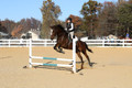 Ella Grier on Jean Louis Finch, Advanced Green Horse Trials Junior B