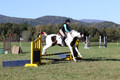 Kaitlyn Schmidt on Dandy, Advanced Green Horse Trials A