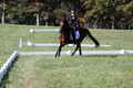 Katie LaValle on High Speed Internet, Beginner Novice Horse Trials Senior A