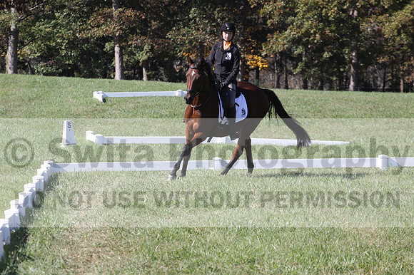 Katie LaValle on High Speed Internet, Beginner Novice Horse Trials Senior A