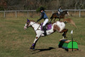 Holly Holbrook on Two Bet Chloe, Beginner Novice Horse Trials Junior A