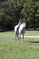 Carolyn Rutledge on Izzy, Advanced Green Horse Trials A