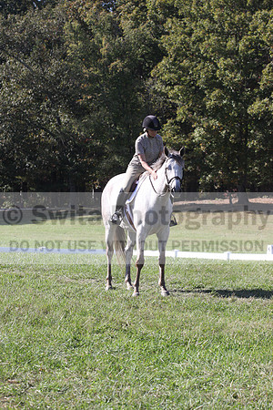 Carolyn Rutledge on Izzy, Advanced Green Horse Trials A