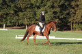 Jenny Rosner on Abbey Moon, Training Horse Trials